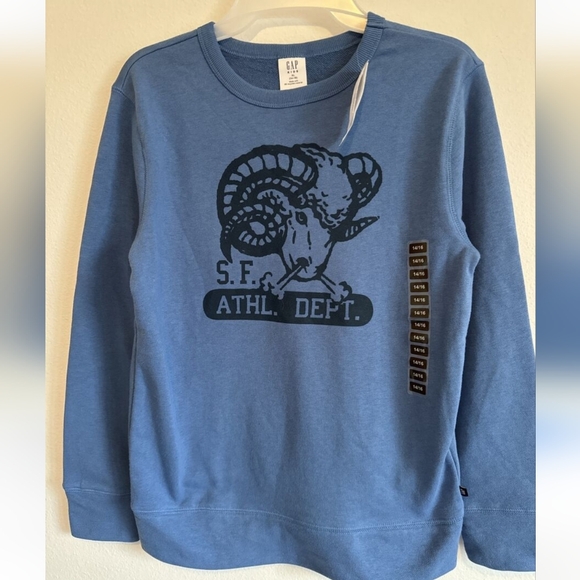 Gap Kids Boys Blue Pullover Crewneck Graphic Sweater Size XL 14/16 NWT - Picture 1 of 6
